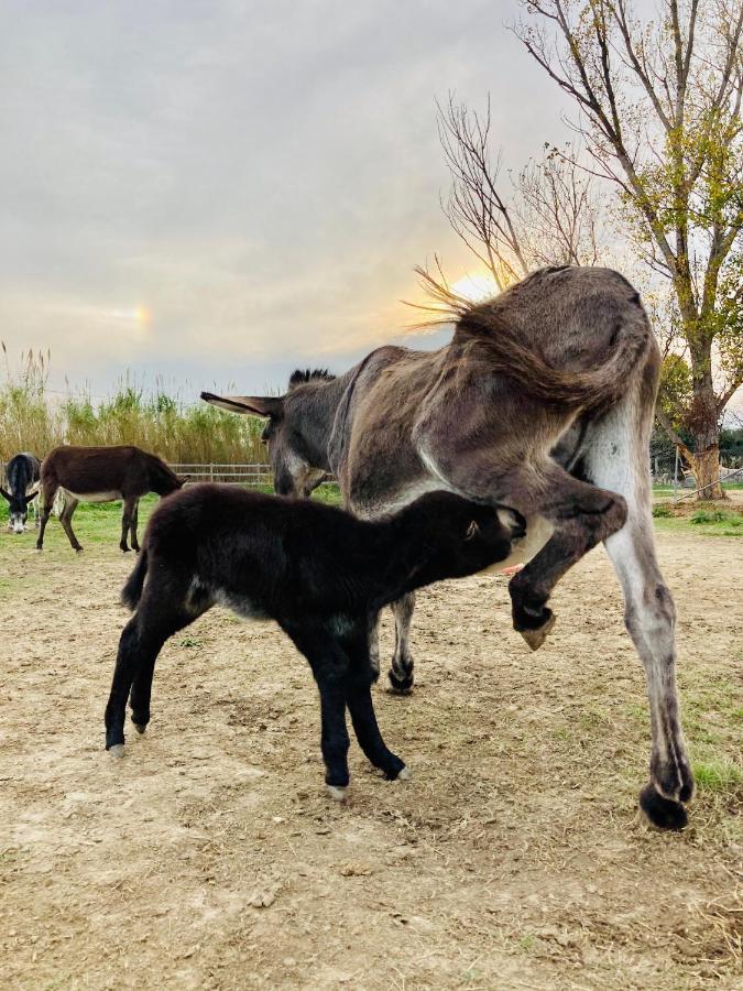 Asinerie Kuleni Hotel Ponteilla Bagian luar foto